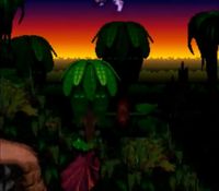 une photo d'Ã©cran de Donkey Kong Country sur Nintendo Super Nes